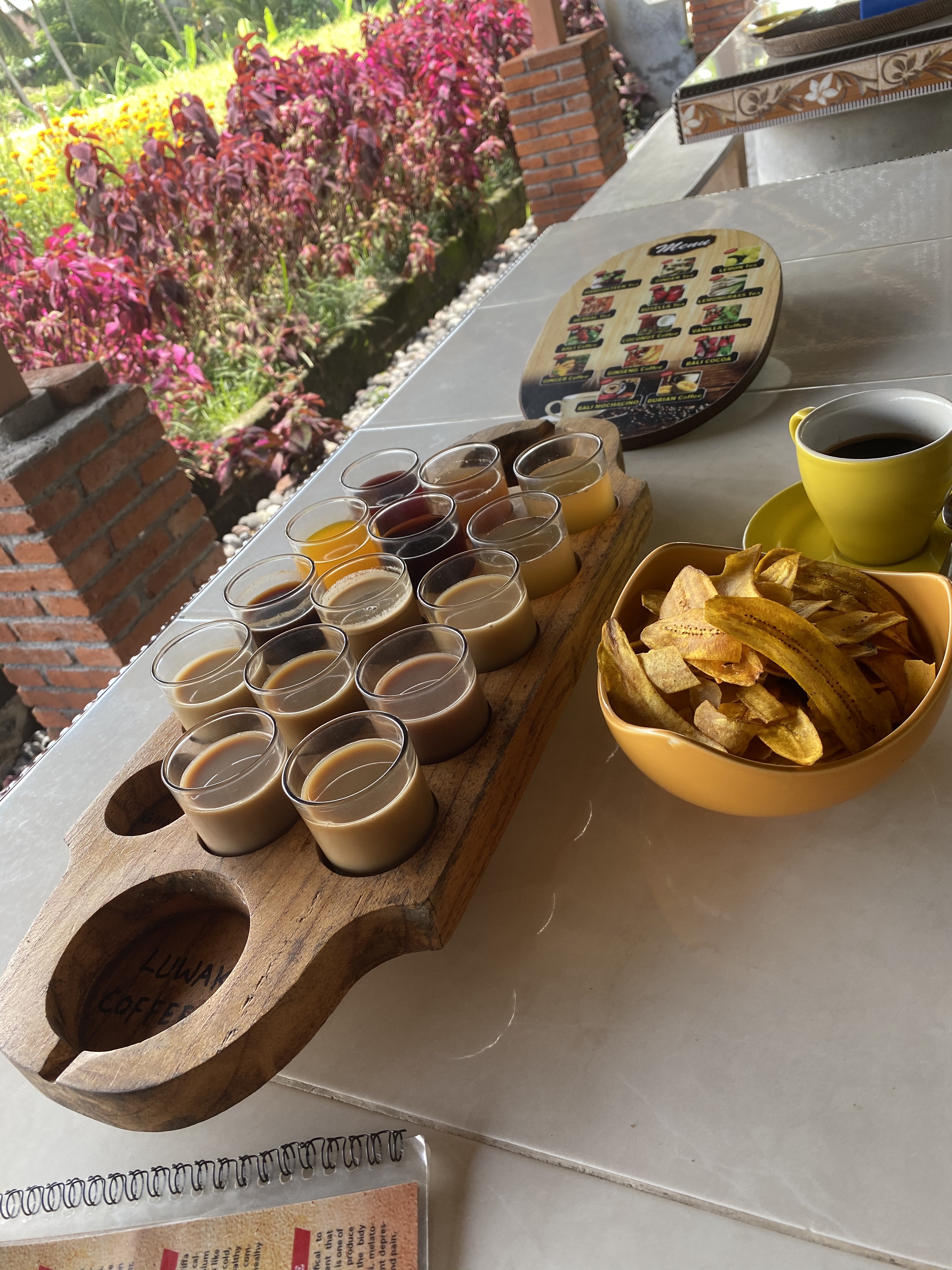 Kopi Luwak Coffee: My Unexpected Journey with Bali’s Infamous Poop Coffee